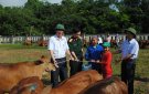  Tập đoàn Viễn thông Quân đội Viettel trao tặng 159 con bò giống cho các hộ nghèo trên địa bàn huyện Bá Thước